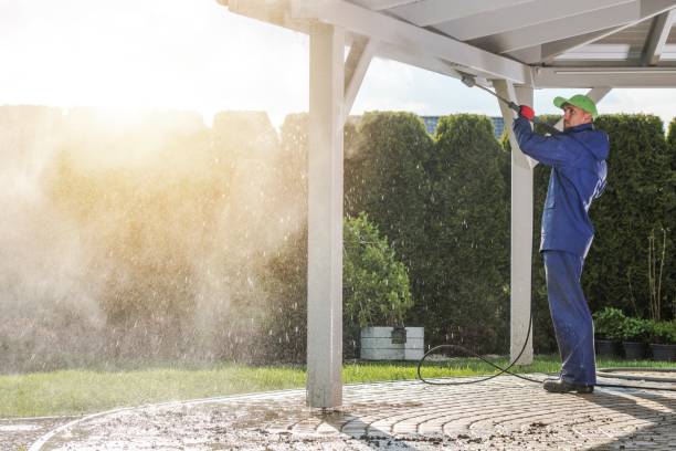 Best Gutter Cleaning and Brightening in St Paul, MN